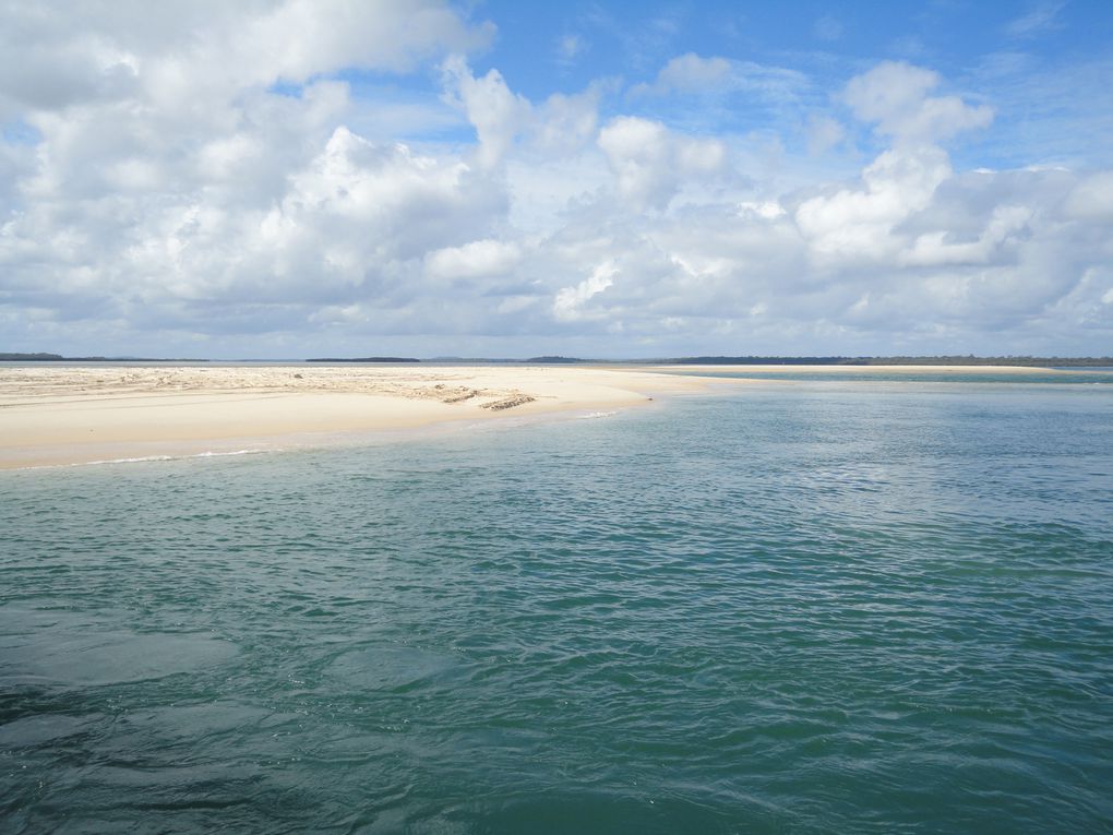 Album - fraser-island