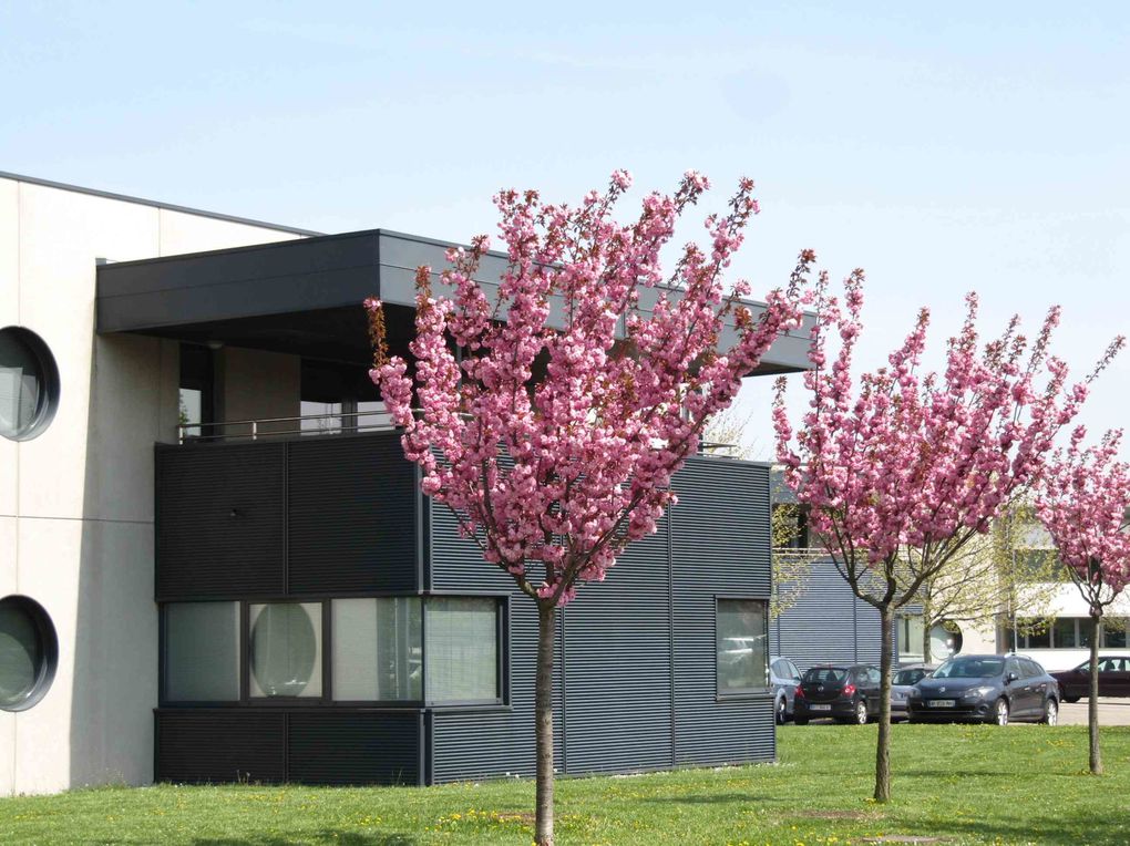 espace européen de l'entreprise à schiltigheim au printemps 2010