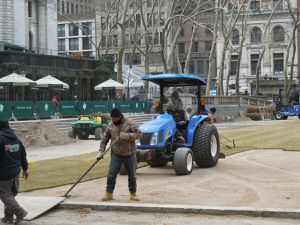 COURTE  VISITE  A  NEW YORK, après deux mois à Oaxaca (MEXIQUE)