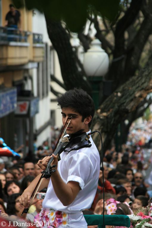 Madere-Funchal,c'est dans cette ville capitale de l'isle que se realise tous les ans la fete de la fleur,cette année c'etait du 5 au 8 Mai et j'y etait,voici quelques images