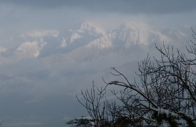 Belledonne