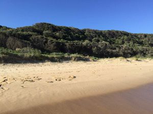 0204 Ninety Mile Beach