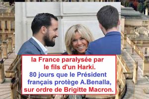 France, 80 jours de scandale Benalla, Macron résiste ...