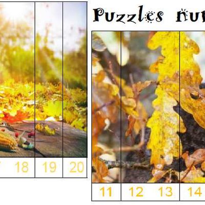Puzzles numériques de 11 à 20 