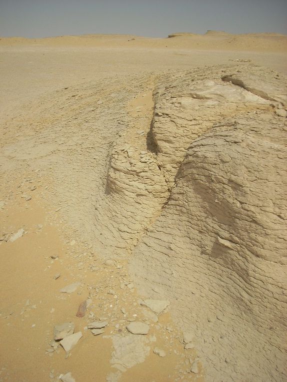 Oasis du Fayoump, partie du désert des baleines