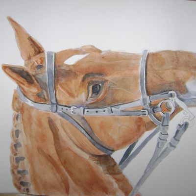 aquarelle et acrylique de chevaux