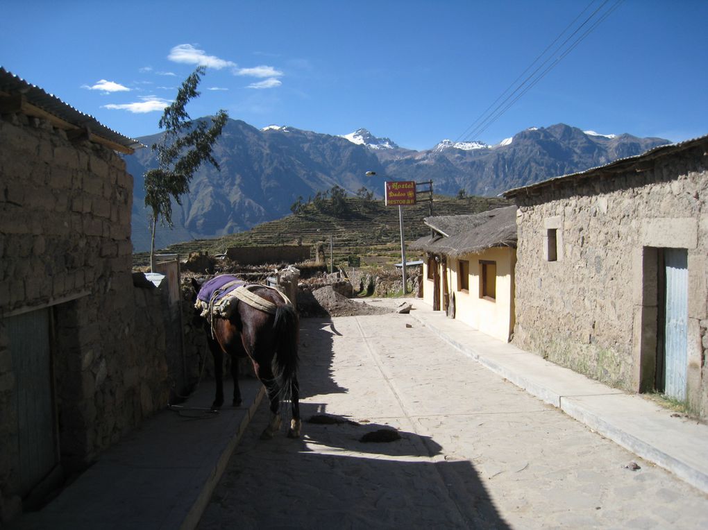 Album - Colca Canyon - 5 Juillet