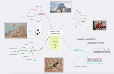 Carte Mentale La Chanson De Roland Virginia E E Giulia I Voix