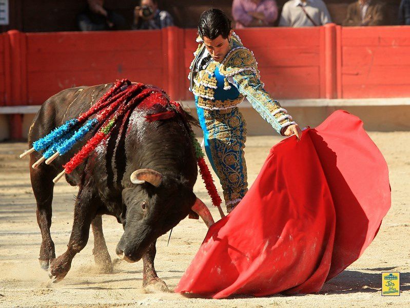 Arènes de VERGEZE (30) Dimanche 14 avril 2013 à 16H30-  Corrida du Rhôny avec  6 Toros des Frères Tardieu pour Marc Serrano, Antonio-João Ferrera et Alberto Lamelas - Cavalerie Heyral