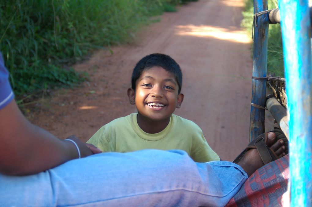 Voyage au Sri Lanka...décembre 2009