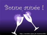 Bonne année 2011