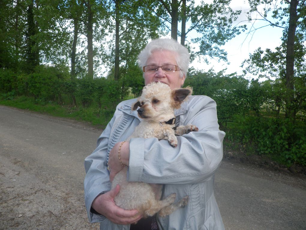 Album - CHIENS-ADOPTES-mai-juin-juillet-2012