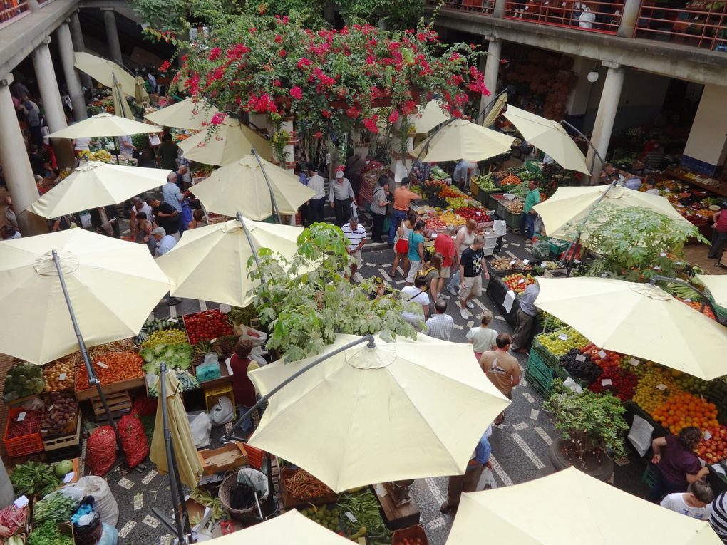 Ile de Madère - 2.c Funchal : vieille ville (Le Marché des Laboureurs)