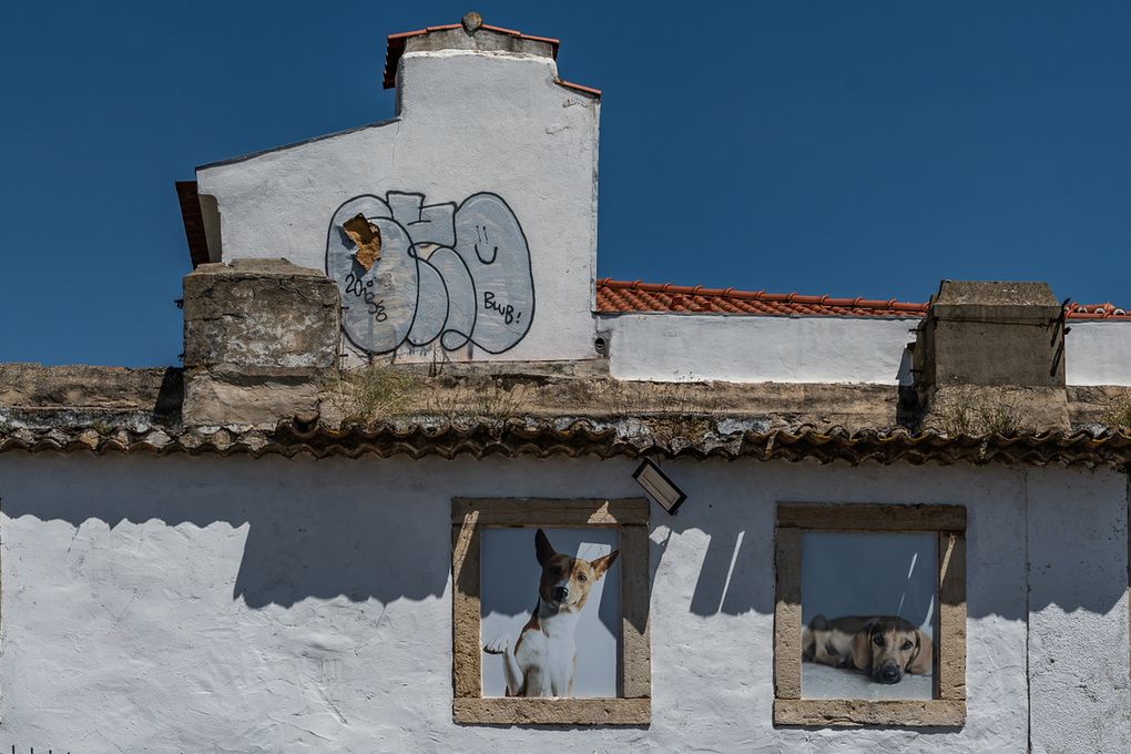 Alfama : (boutiques, cathédrale, château, 