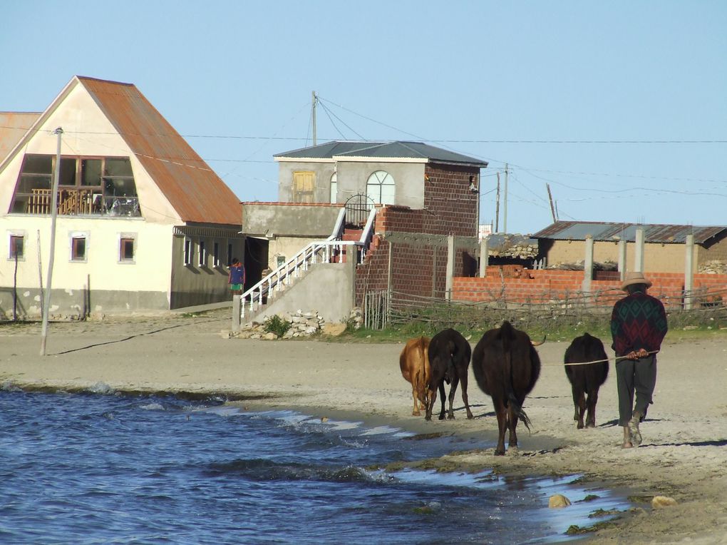 Album - ISLA-DEL-SOL----BOLIVIE