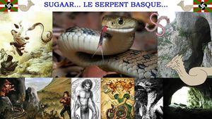 le serpent basque SUGGAR