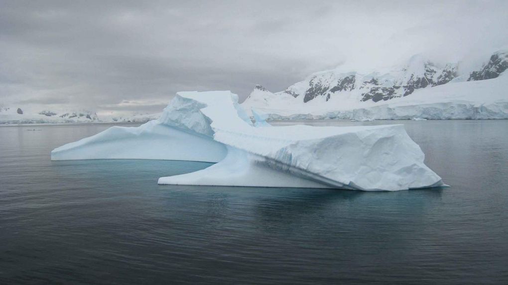 Album - Antarctique-compilation-photos