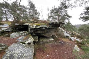 Rando 20, Milly-la-Forêt / le Coquibus Jeudi 8 février 2024