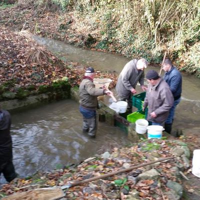 VIDANGE DES FRAYERES 2016