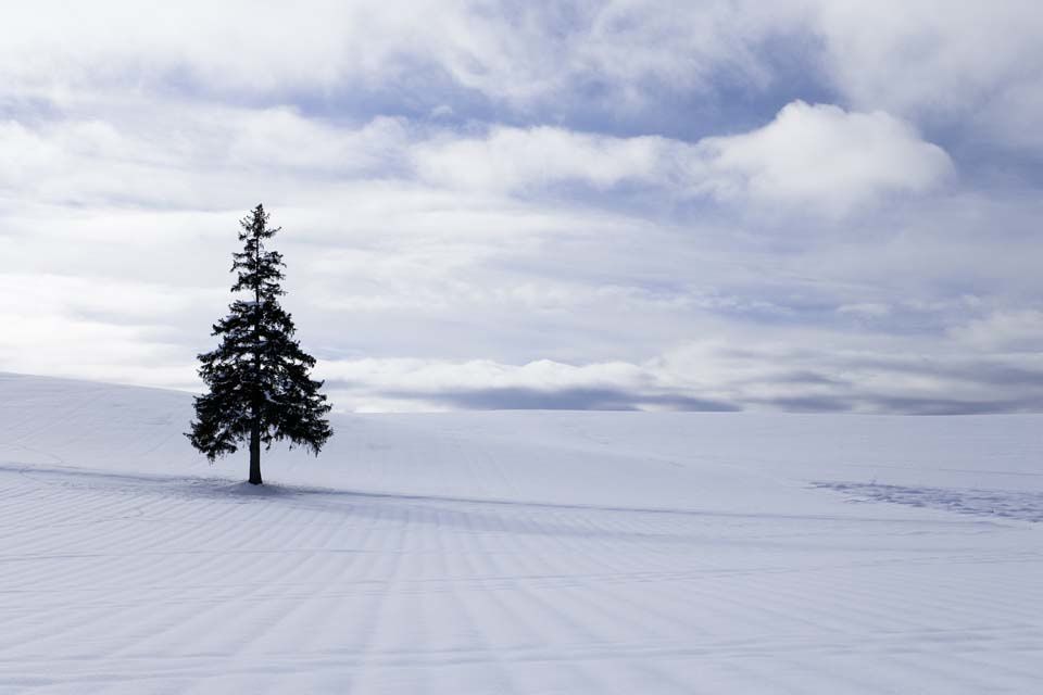 Album - Paysage-d-hiver-pris-sur-le-net