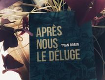 Après nous le déluge 