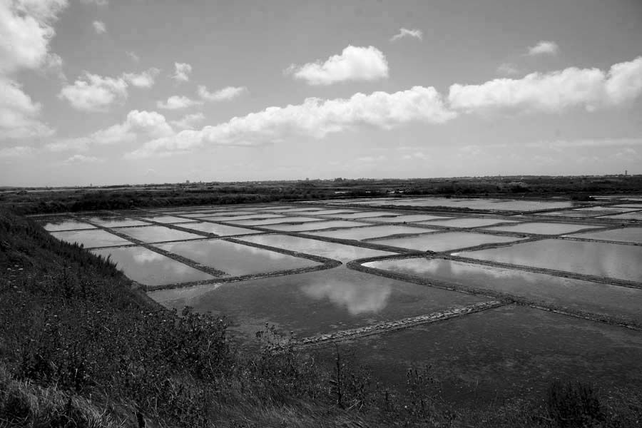 Album - Les Marais-salants de Guerande en noir et blanc