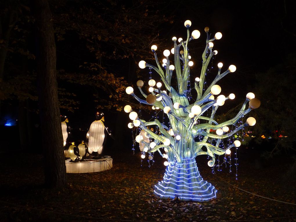 Parc Floral de Paris