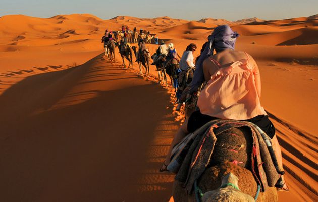 Excursion Marrakech