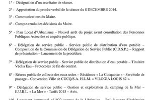 conseil municipal du 29 janvier 2015