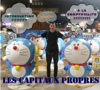 مدخل إلى المحاسبة رؤوس الأموال الخاصة Introduction à la comptabilité - Les Capitaux Propres