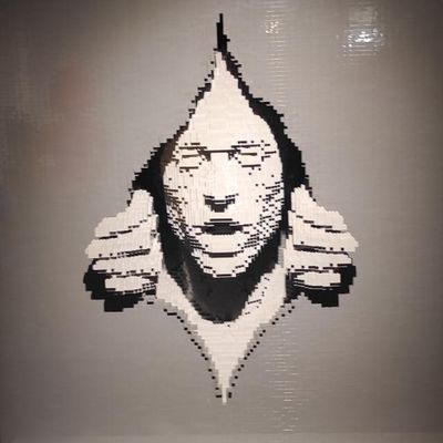 DE LO ORGANICO, LO INSTITUCIONAL Y EL LIDERAZGO