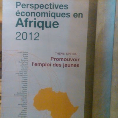 l'emploi des jeunes en Afrique une priorité !!!!