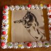 entremets passion chocolat blanc dessin cheval