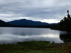 Haast-les glaciers-Panakaiki