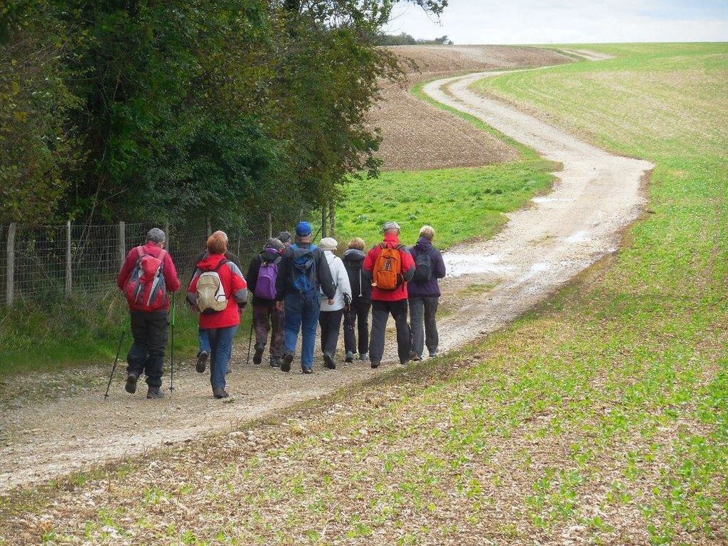 Au long du chemin,... des champs moissonnés ou du maïs