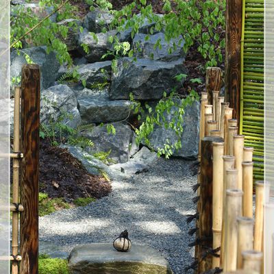 Formation sur la réalisation des jardins japonais.