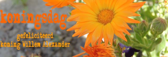 koningsdag