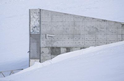 La réserve mondiale de semences du Svalbard déjà mise à l'épreuve