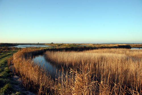 Images des marais salants de Gu&eacute;rande&nbsp;au lever du soleil