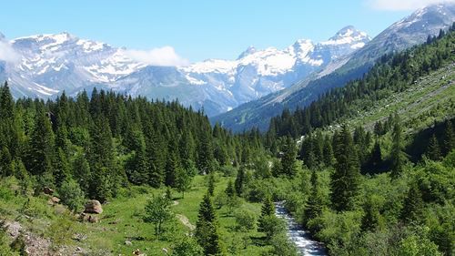 Nouvelles photos du séjour à Samoens