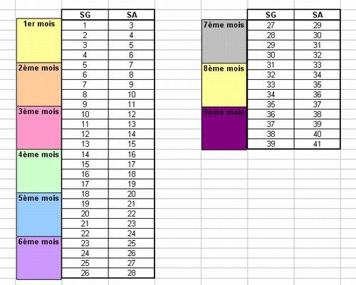 Calculer age de grossesse doctissimo