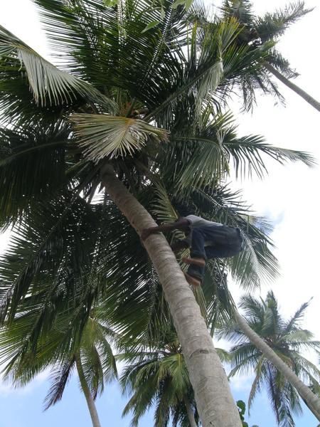 republique dominicaine