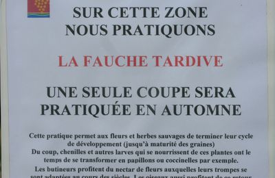 FAUCHE TARDIVE: DES PANNEAUX INFORMENT LES CITOYENS