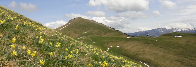 Charmant Som, depuis les Cottaves