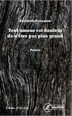 TOUT AMOUR EST DOULEUR DE N'ÊTRE PAS PLUS GRAND PAR ÉLISABETH PELLOQUIN