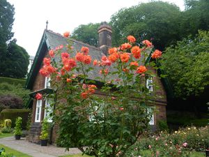 Dans les jardins de Princes Street / En los jardines de Princes Street