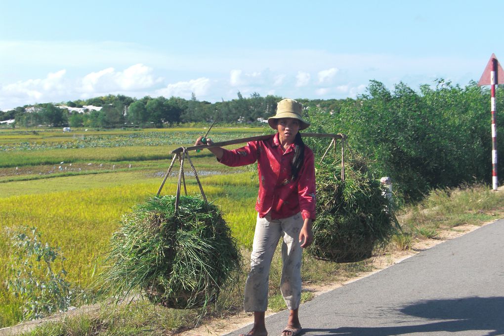 Album - Vietnam