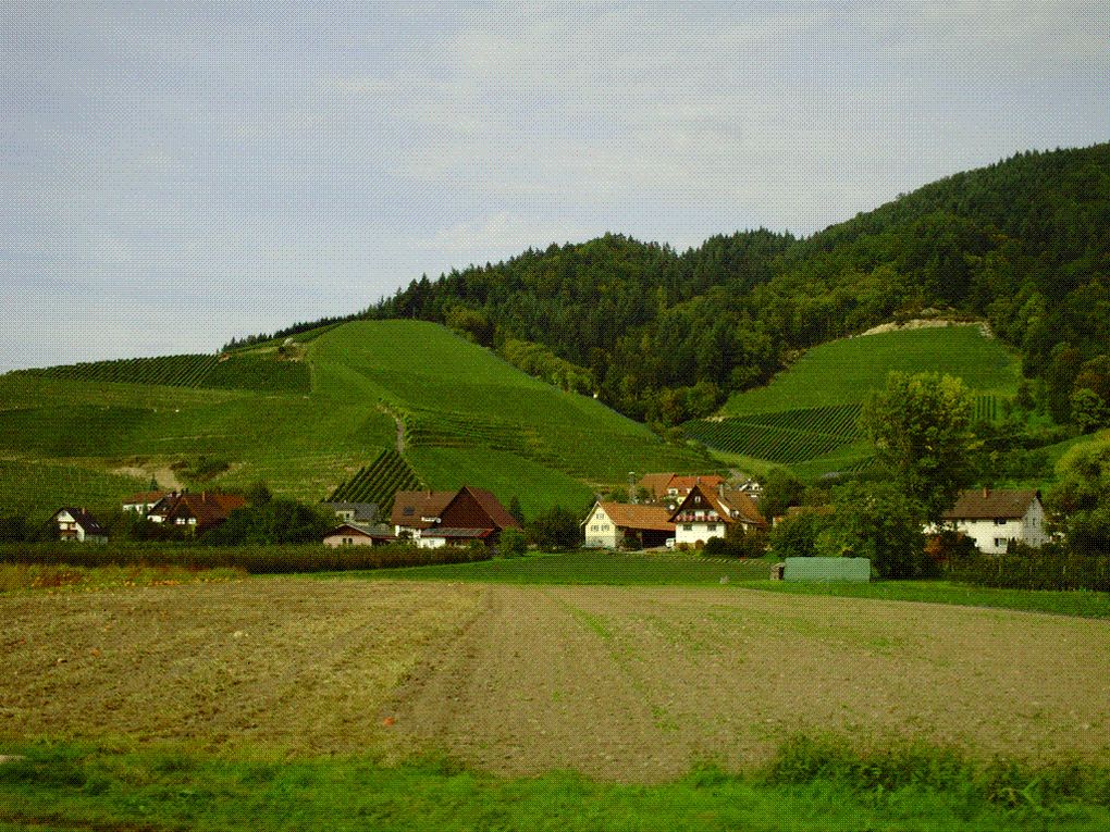 DIAPORAMA 3 PHOTOS - LES ENVIRONS D'OBERKIRCH