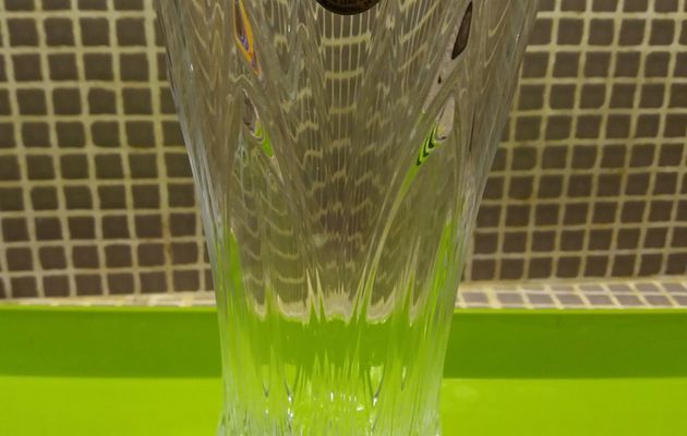 VASE CRISTAL ARQUES 20e