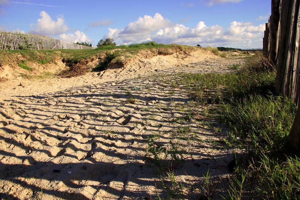 Sentier de douanier en Pays de Retz - Photos Thierry Weber Photographe La Baule Guérande